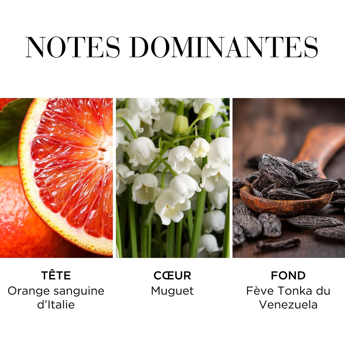 Dameparfume Elizabeth Arden WHITE TEA