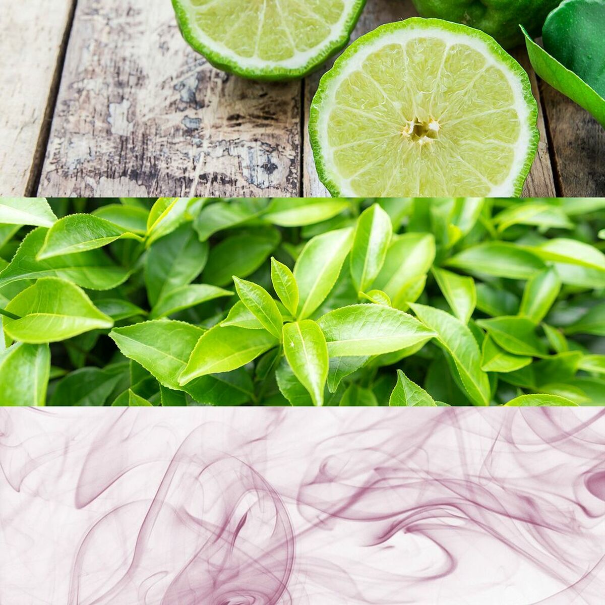 Unisex parfume Calvin Klein PZF40450 EDT 50 ml