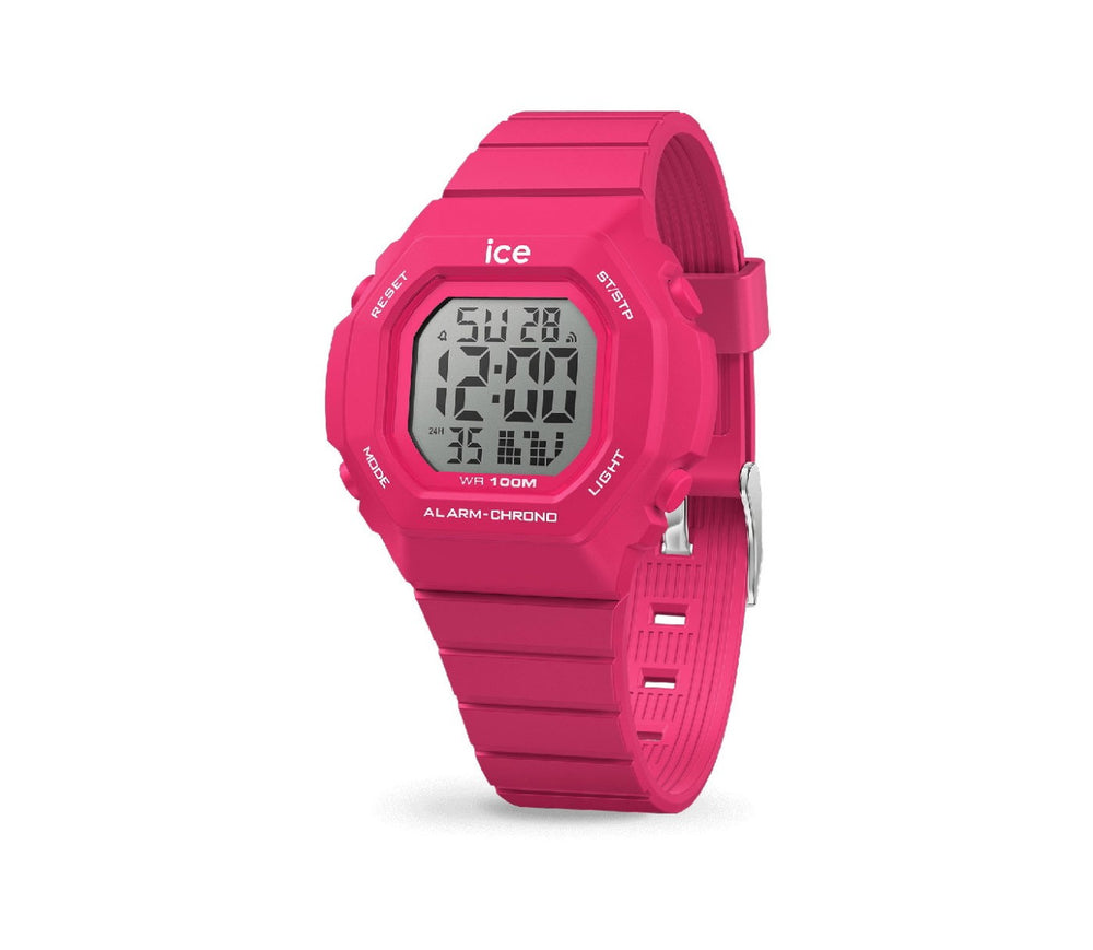 ICE 22100