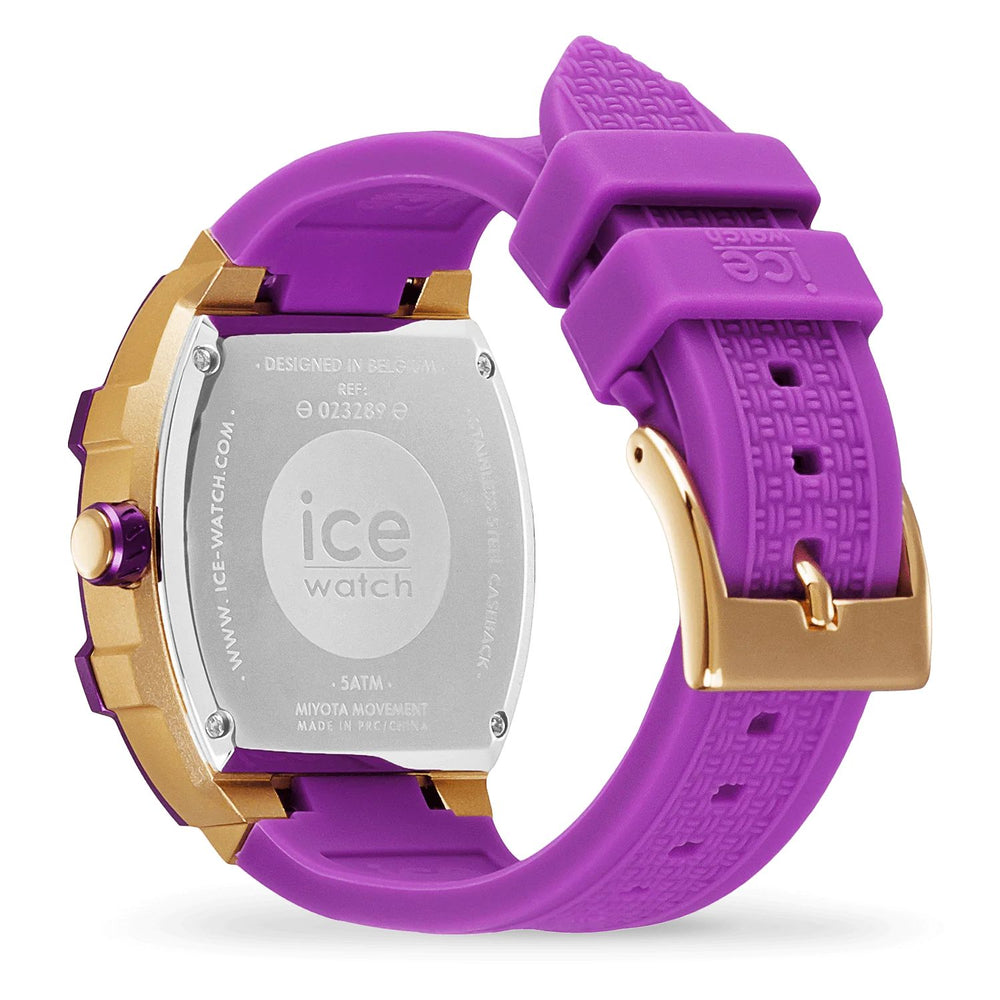 ICE 23289