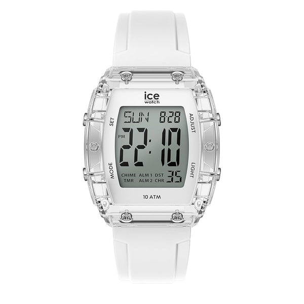 ICE 24565