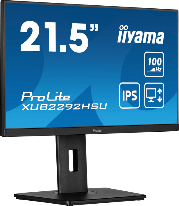iiyama ProLite XUB2292HSU-B6 22 IPS 1920 x 1080 (Full HD) HDMI DisplayPort 100Hz