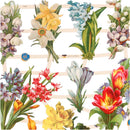 Glansbilleder, forårsblomster, ark 16,5x23,5 cm, 2 ark/ 1 pk.