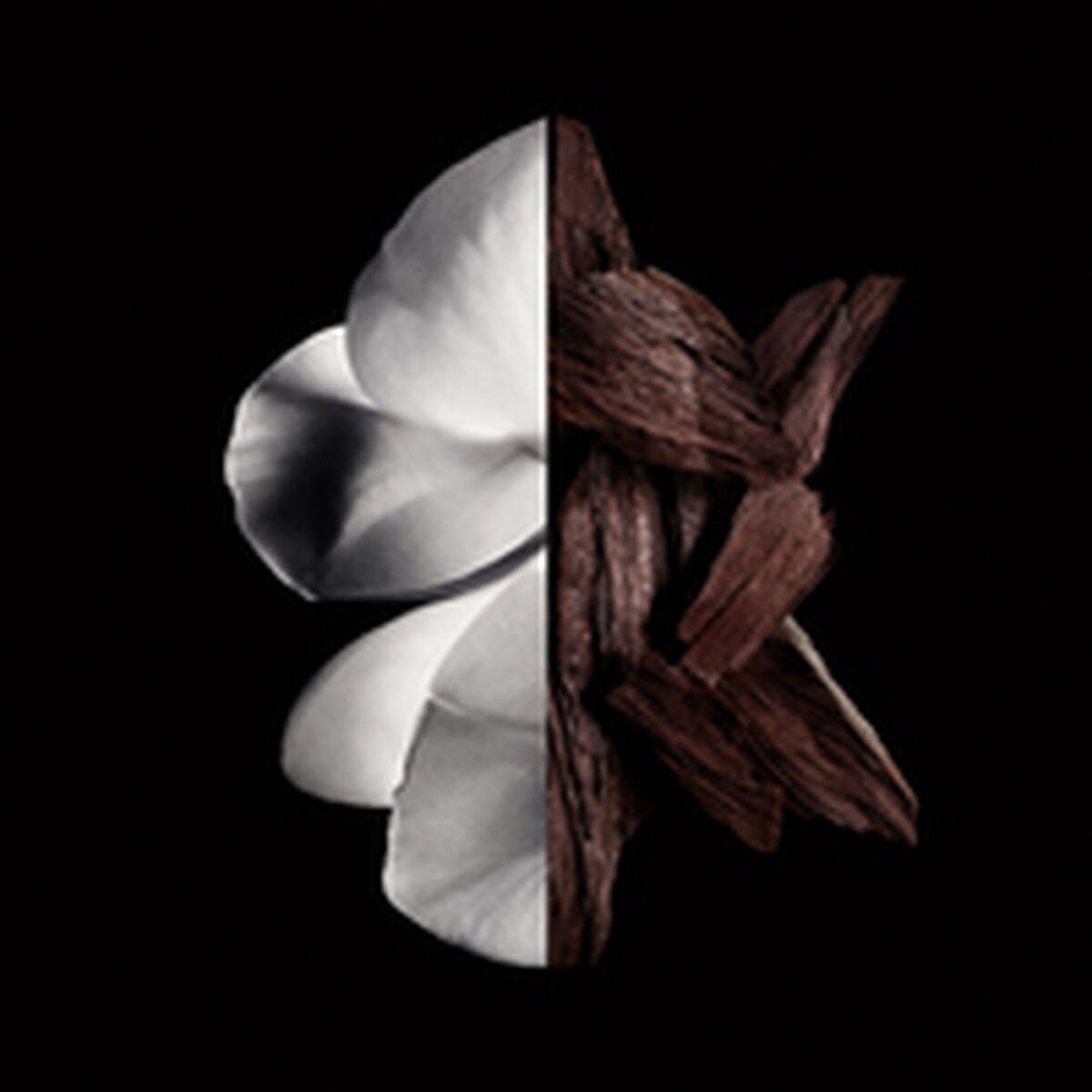 Dameparfume Givenchy Gentleman Boisée 200 ml