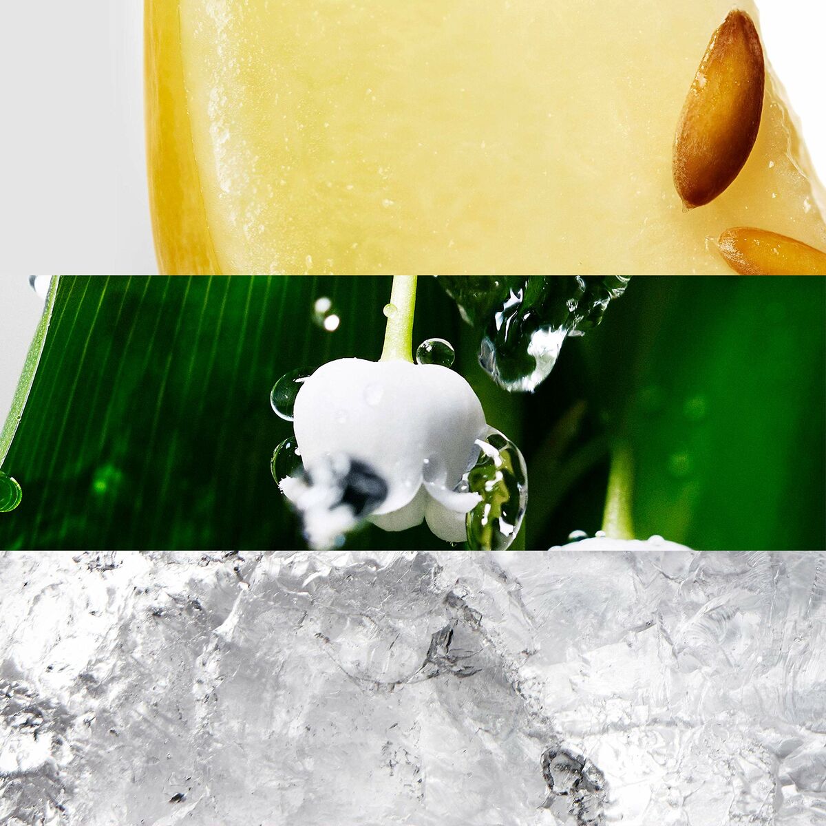 Dameparfume Davidoff Cool Water Woman EDT 50 ml (1 enheder)