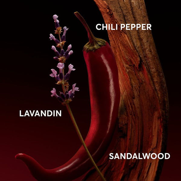 Herreparfume BOSS THE SCENT FOR HIM ELIXIR EDP 50 ml