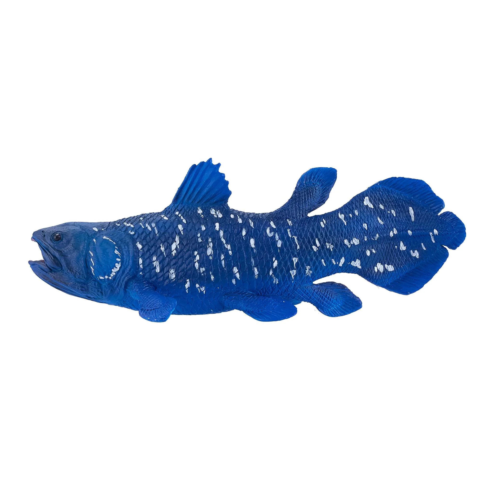Coelacanths fisk legetøj 12 cm i kunststof, phthalatfri, til børn 3+ — Mojo
