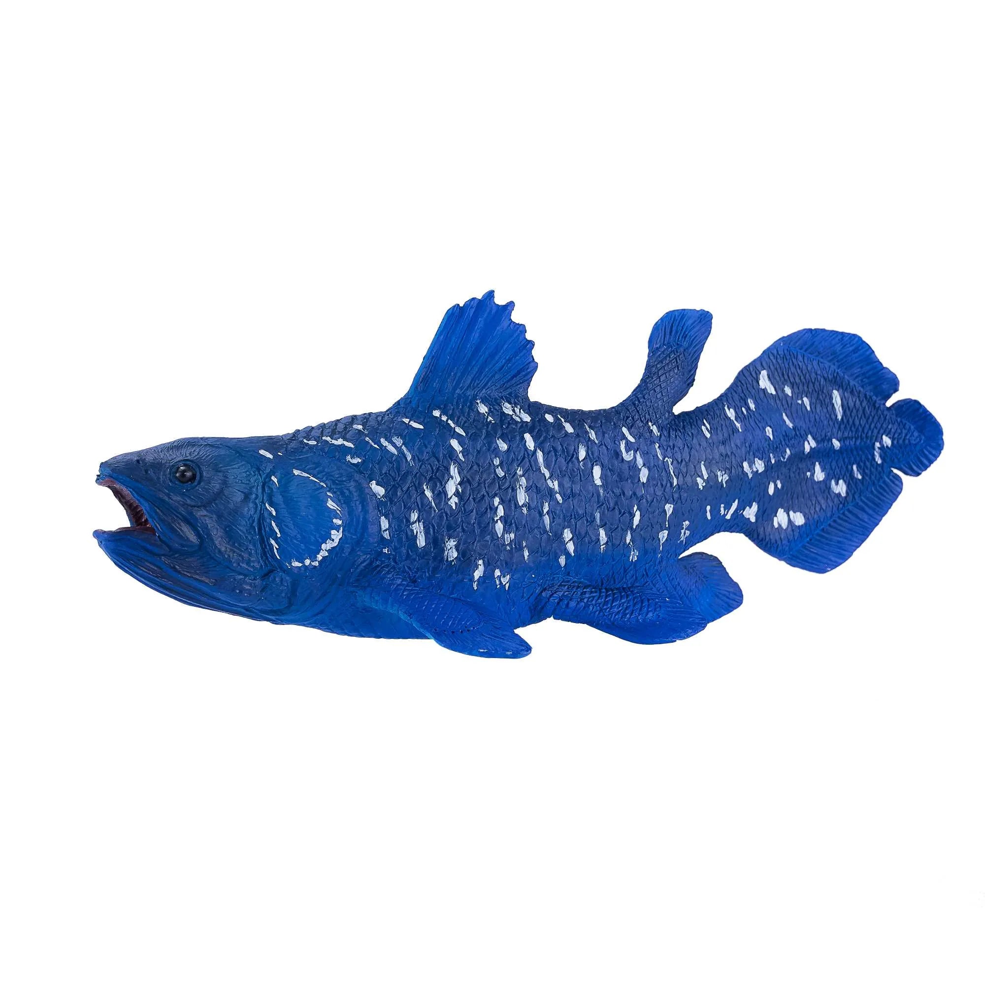 Coelacanths fisk legetøj 12 cm i kunststof, phthalatfri, til børn 3+ — Mojo