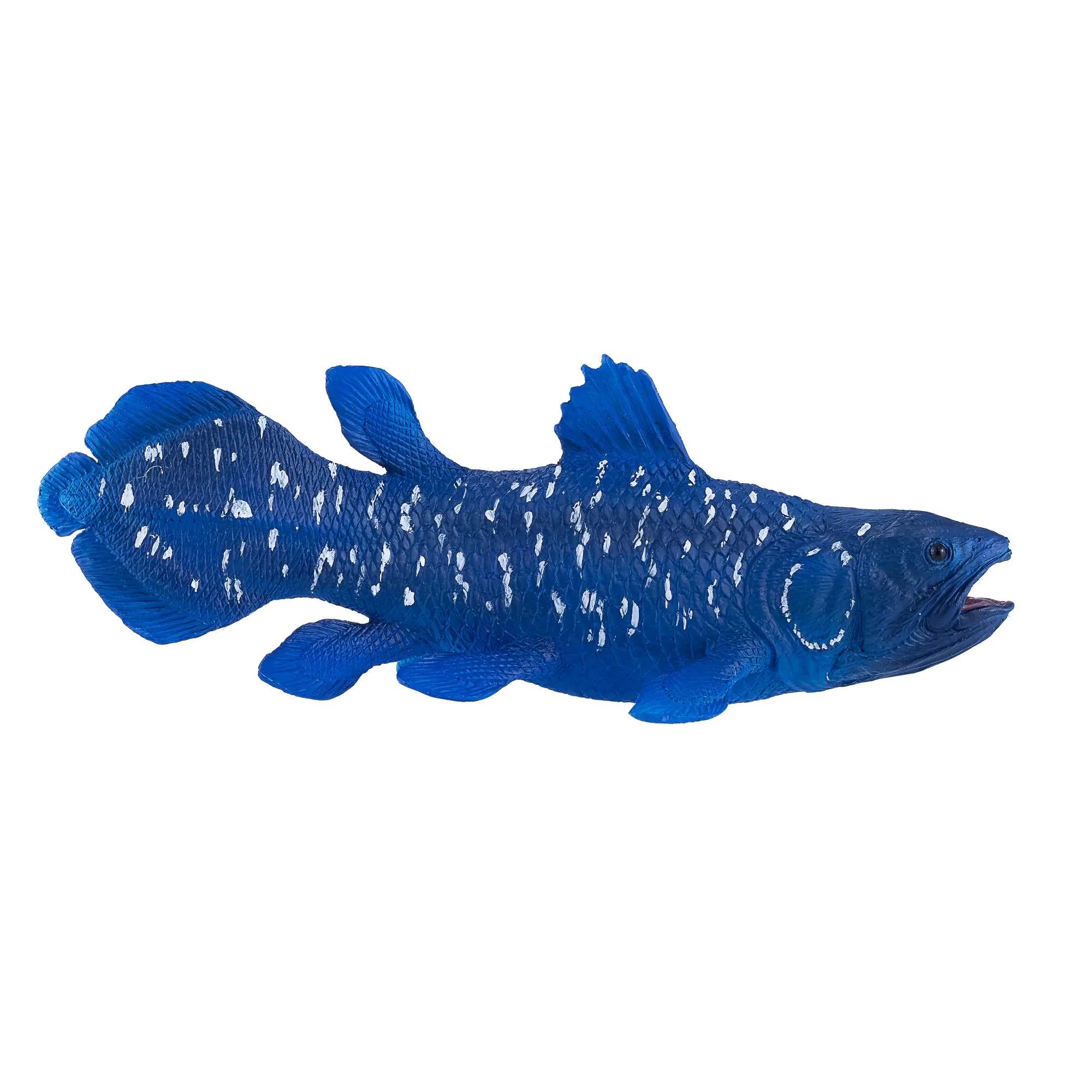 Coelacanths fisk legetøj 12 cm i kunststof, phthalatfri, til børn 3+ — Mojo