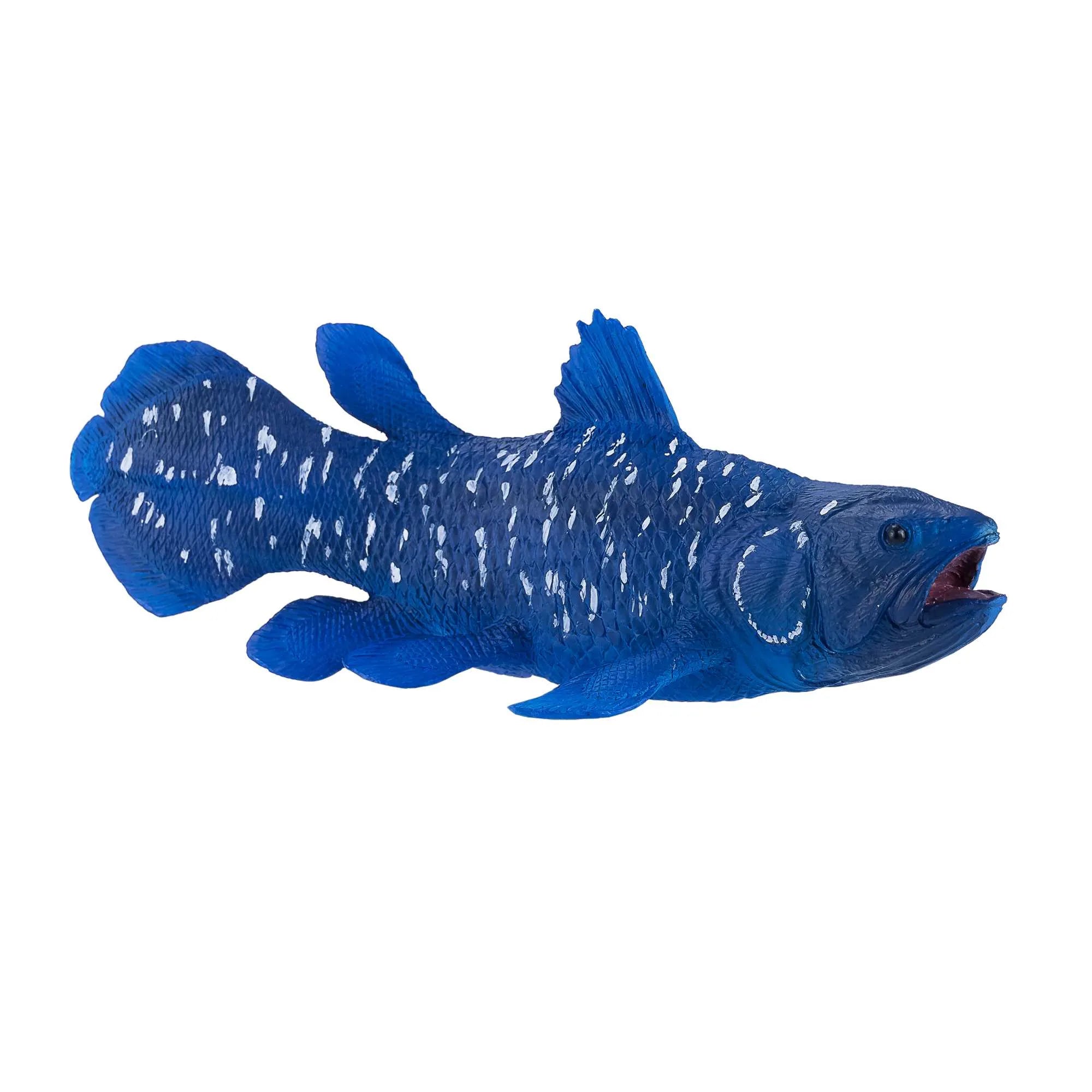 Coelacanths fisk legetøj 12 cm i kunststof, phthalatfri, til børn 3+ — Mojo