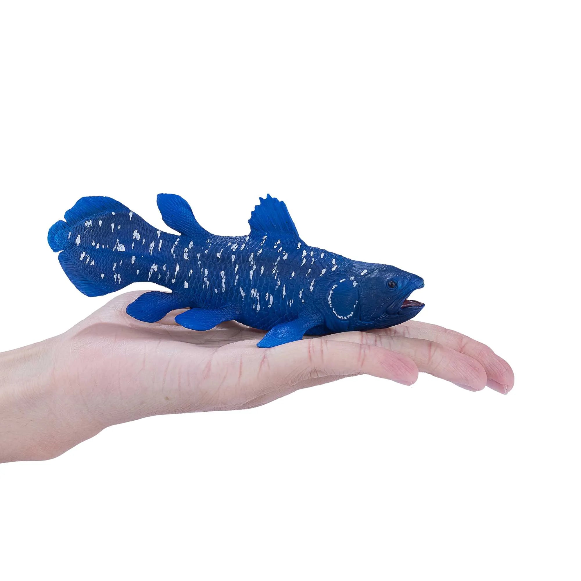 Coelacanths fisk legetøj 12 cm i kunststof, phthalatfri, til børn 3+ — Mojo