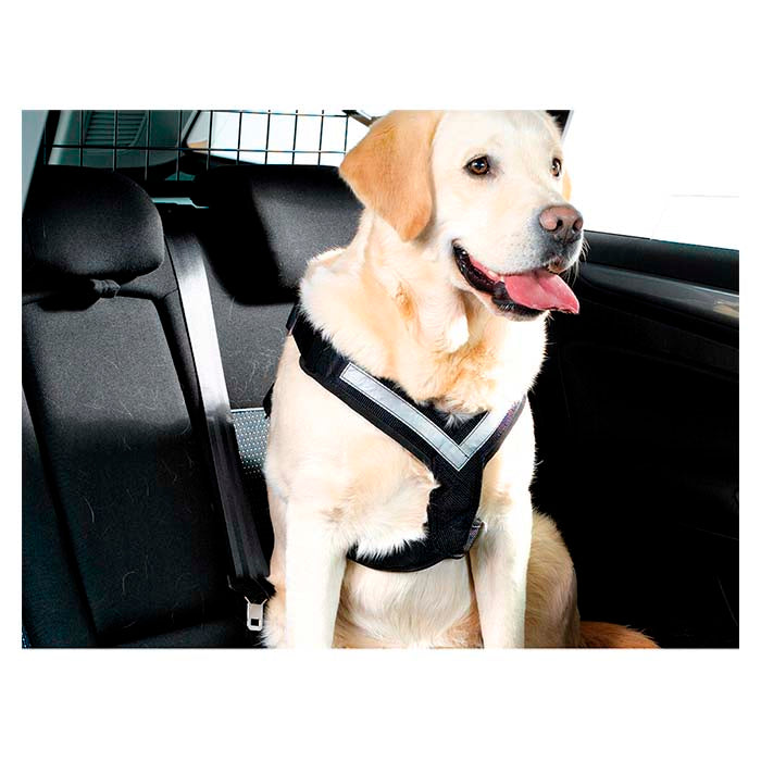 Hundesele sikkerheds- og gåsele Large, justerbar, polstret - MIMsafe Allsafe