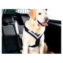 Hundesele MIMsafe Allsafe- X-Large