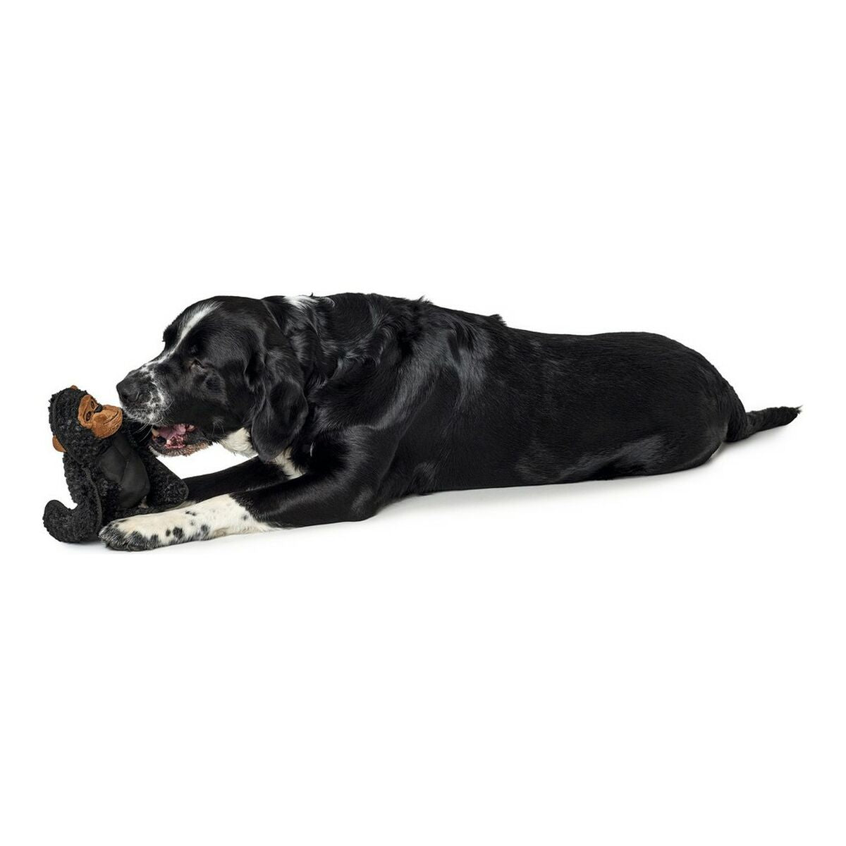 Plush legetøj til hunde Hunter Tough Kamerun Gorilla (29 cm)
