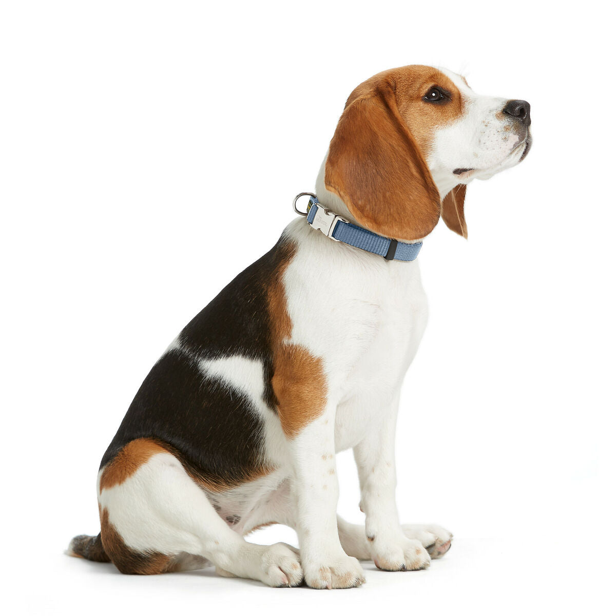 Hundehalsbånd Hunter VARIO BASIC Blå L 40-55 cm