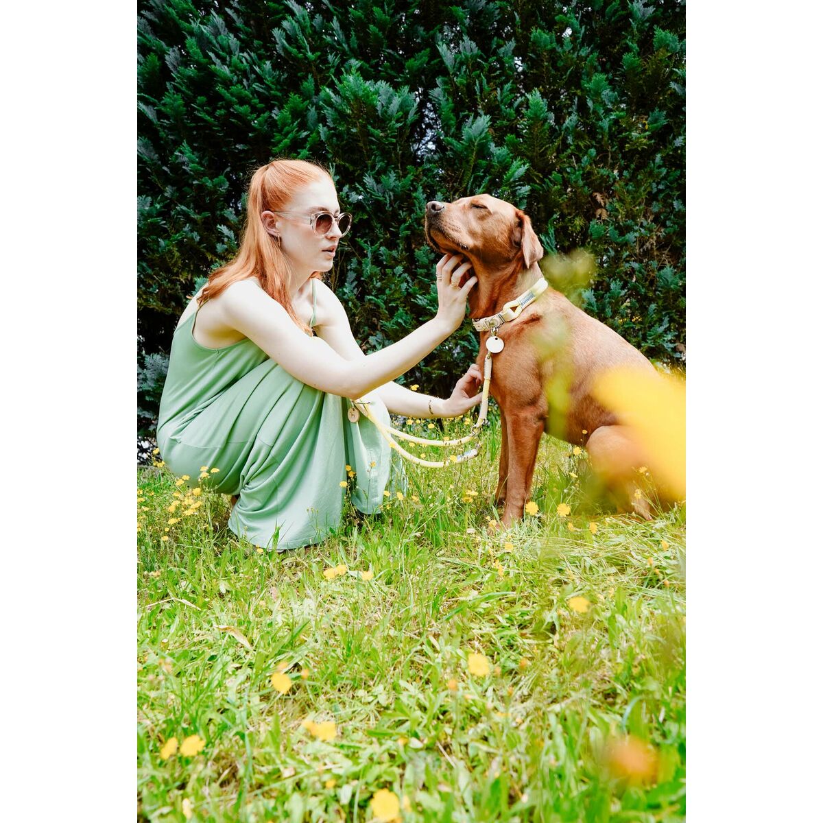 Hundehalsbånd Hunter Malia Lime S/M 35-44 cm