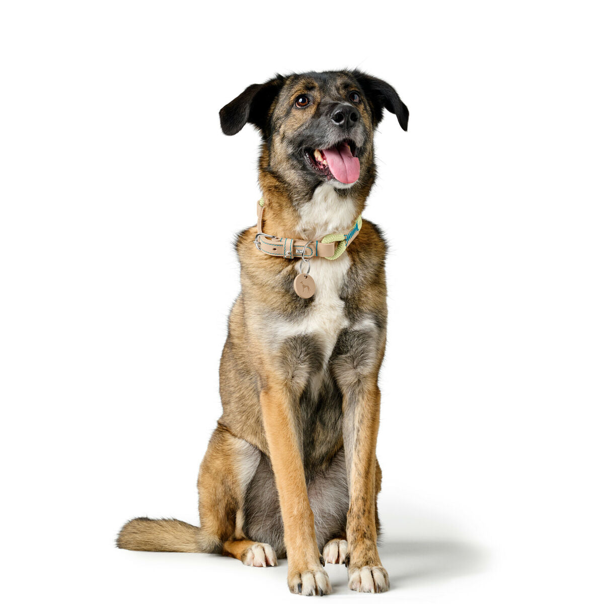 Hundehalsbånd Hunter Malia Grøn S/M 35-44 cm