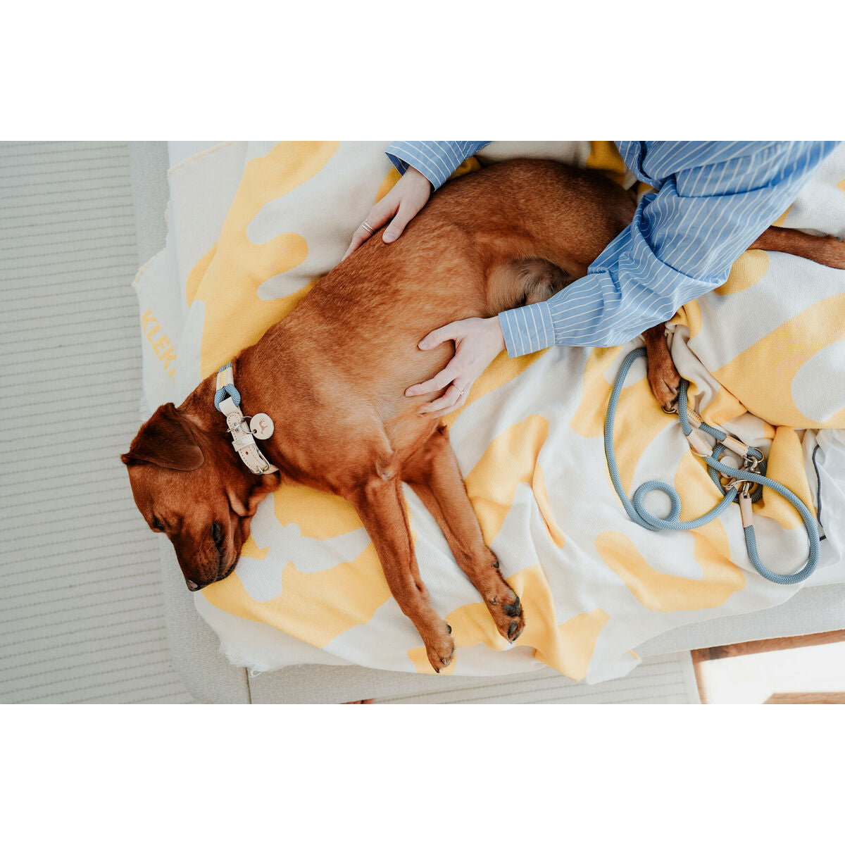 Hundehalsbånd Hunter Malia Blå L 50-59 cm