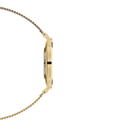 Daniel Wellington dameur Dw00100346