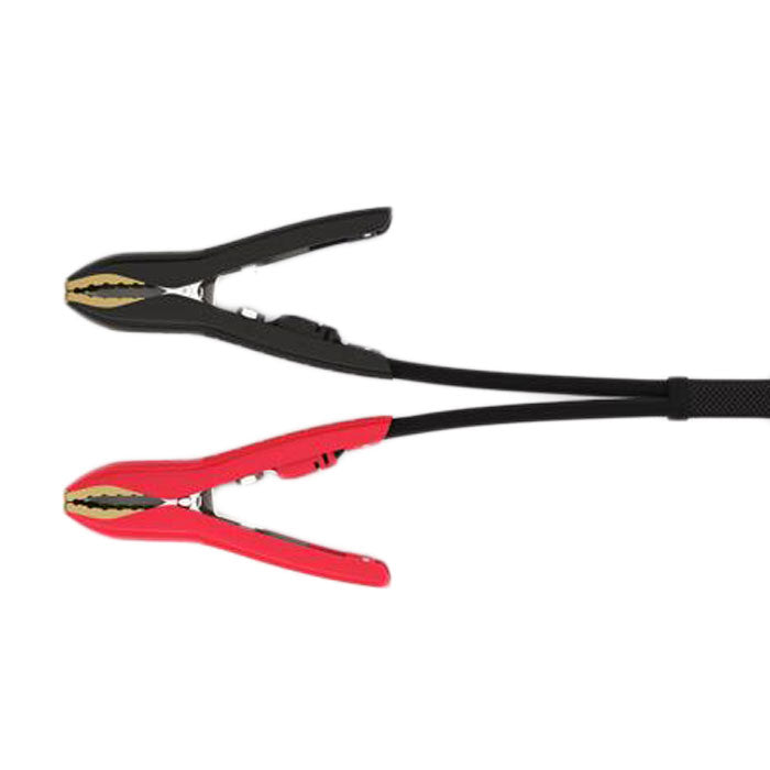 60A professionel batterioplader og strømforsyning med Memory Saver - CTEK