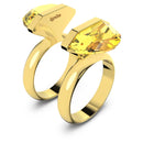 SWAROVSKI 5623773