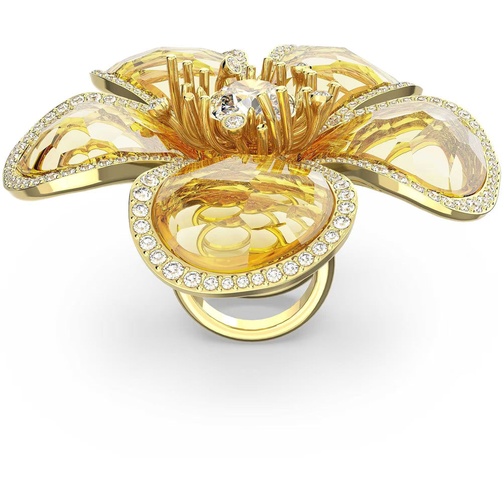SWAROVSKI 5663073