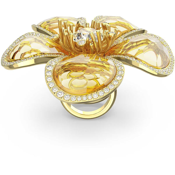 SWAROVSKI 5663073
