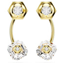 SWAROVSKI 5677980