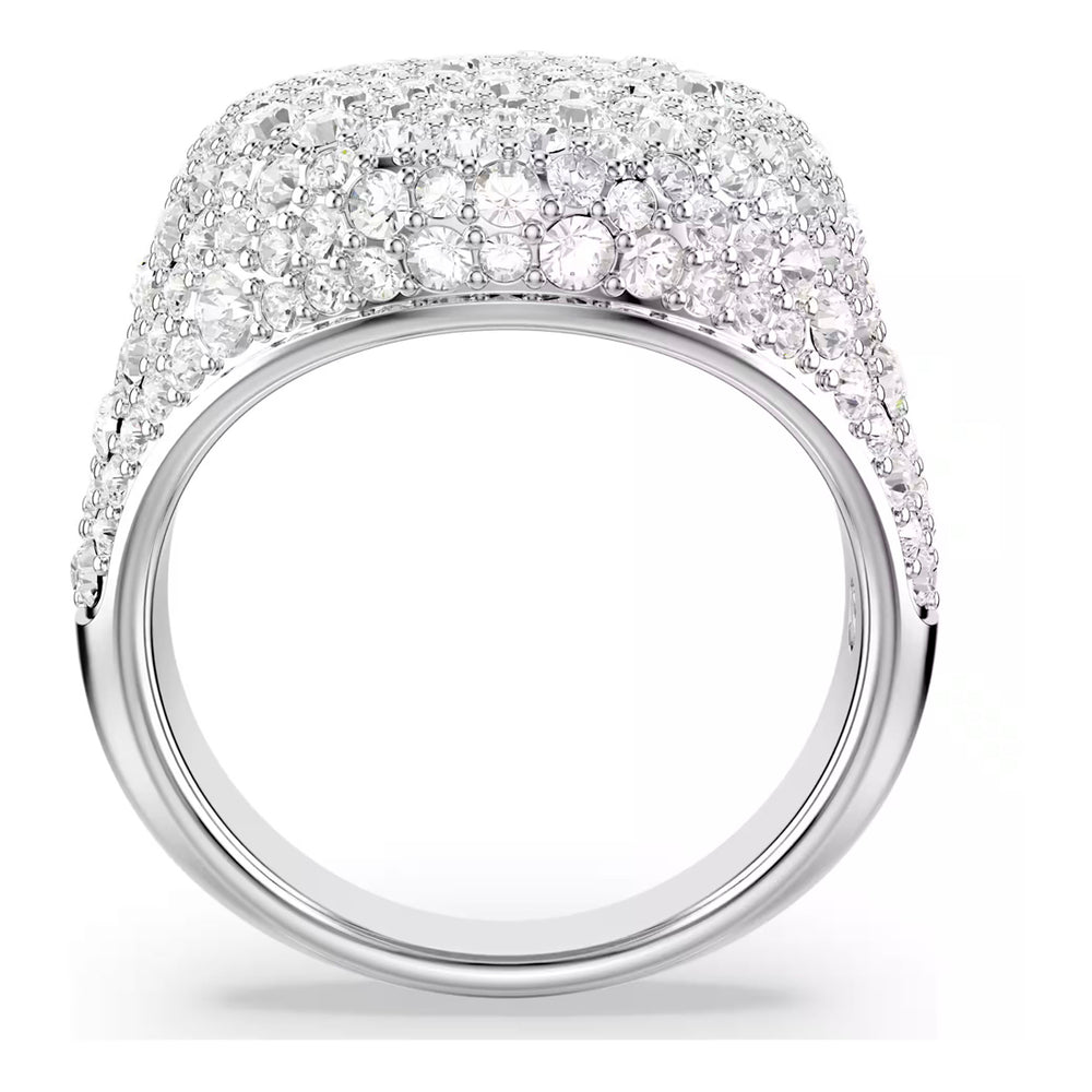 SWAROVSKI 5684245