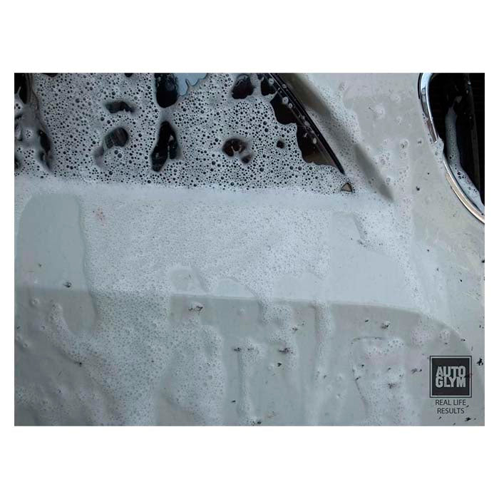 Insektfjerner til bil, ruder og plast 500 ml - Autoglym