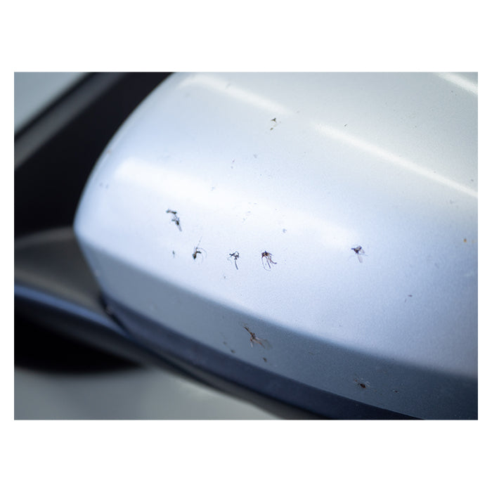 Insektfjerner til bil, ruder og plast 500 ml - Autoglym