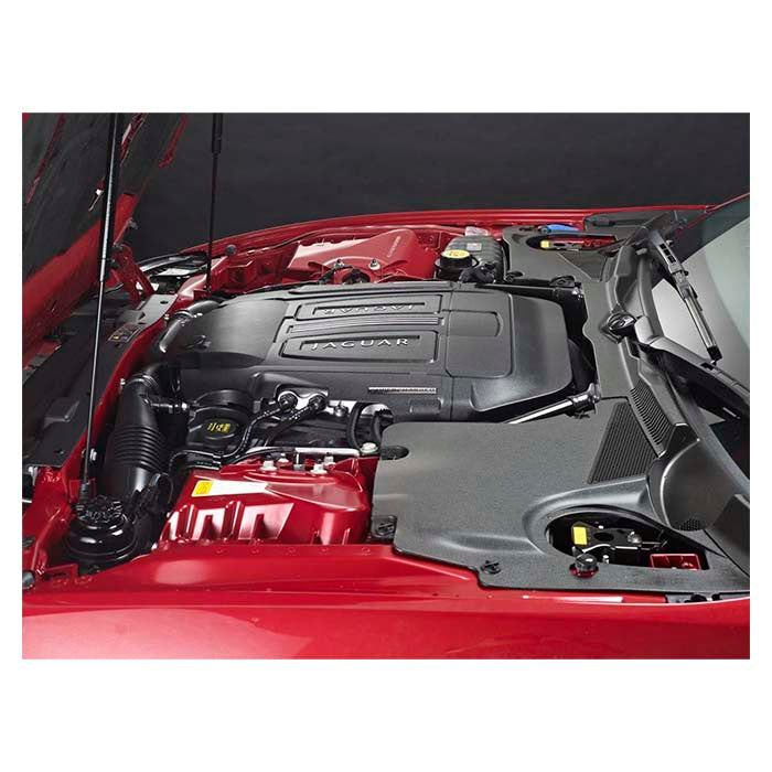 Motor- og maskinrens 1 L - fjerner olie og fedt, vandbaseret rengøringsmiddel - Autoglym