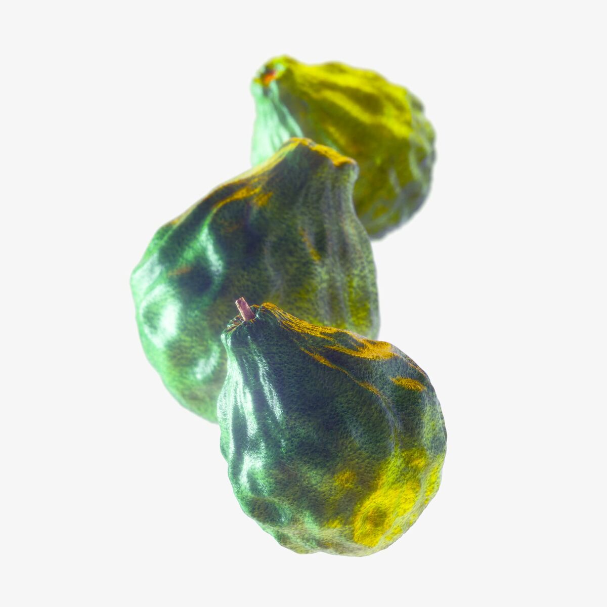 Herreparfume Tommy Hilfiger TOMMY NOW 100 ml