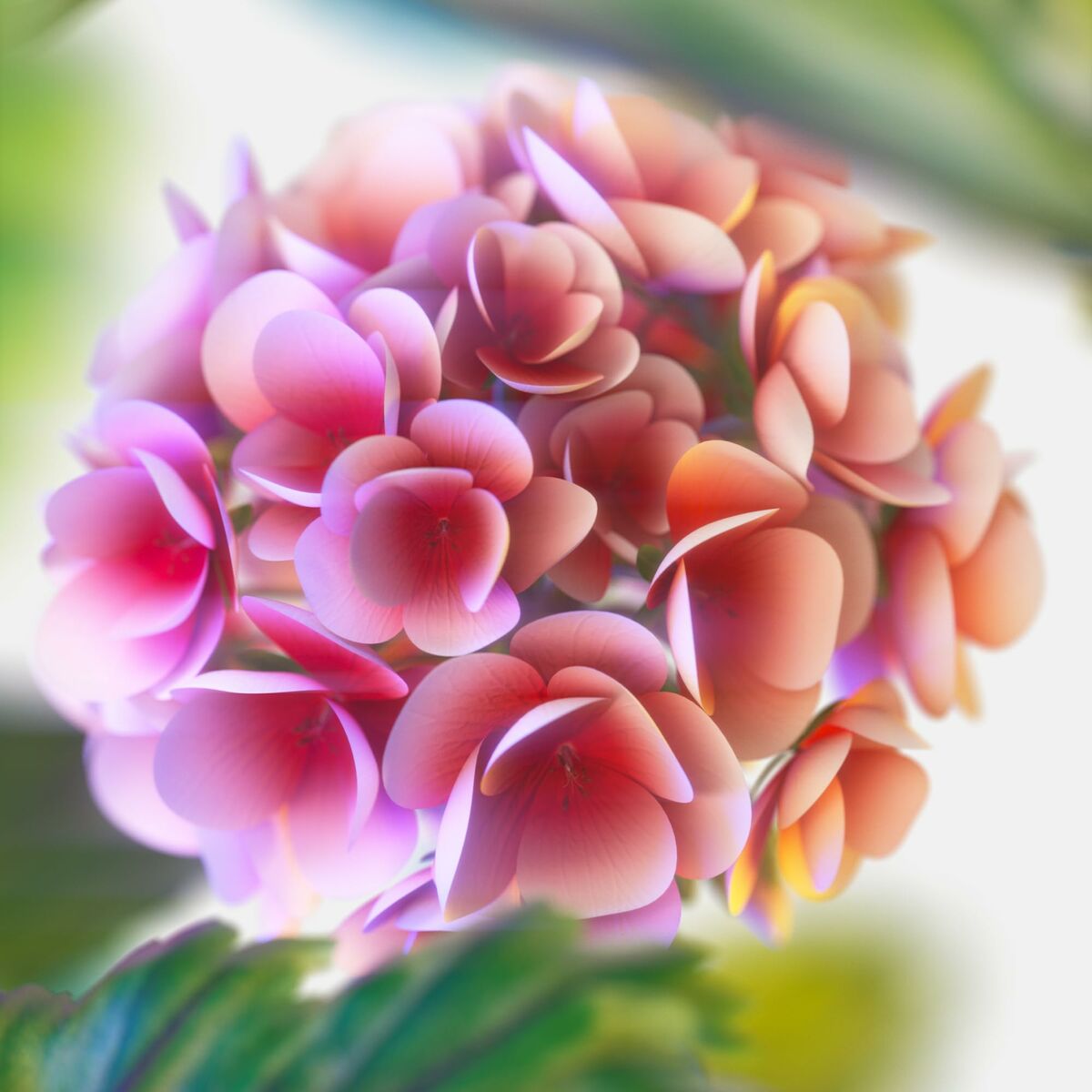 Herreparfume Tommy Hilfiger TOMMY NOW 100 ml