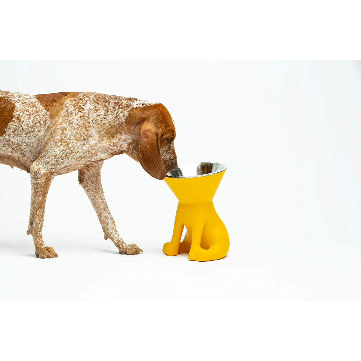 Hund Feeder United Pets Elisabeth Yellow Rustfrit stål Polyetylen 1 L