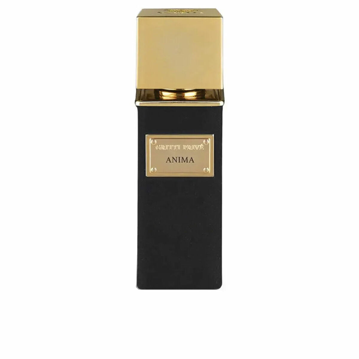 Herreparfume Gritti ANIMA EXTRAIT DE PARFUM EDP 100 ml