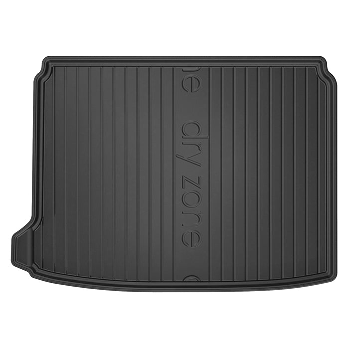 Bagagerumsbakke - DS4 I HB 2011 - frogum