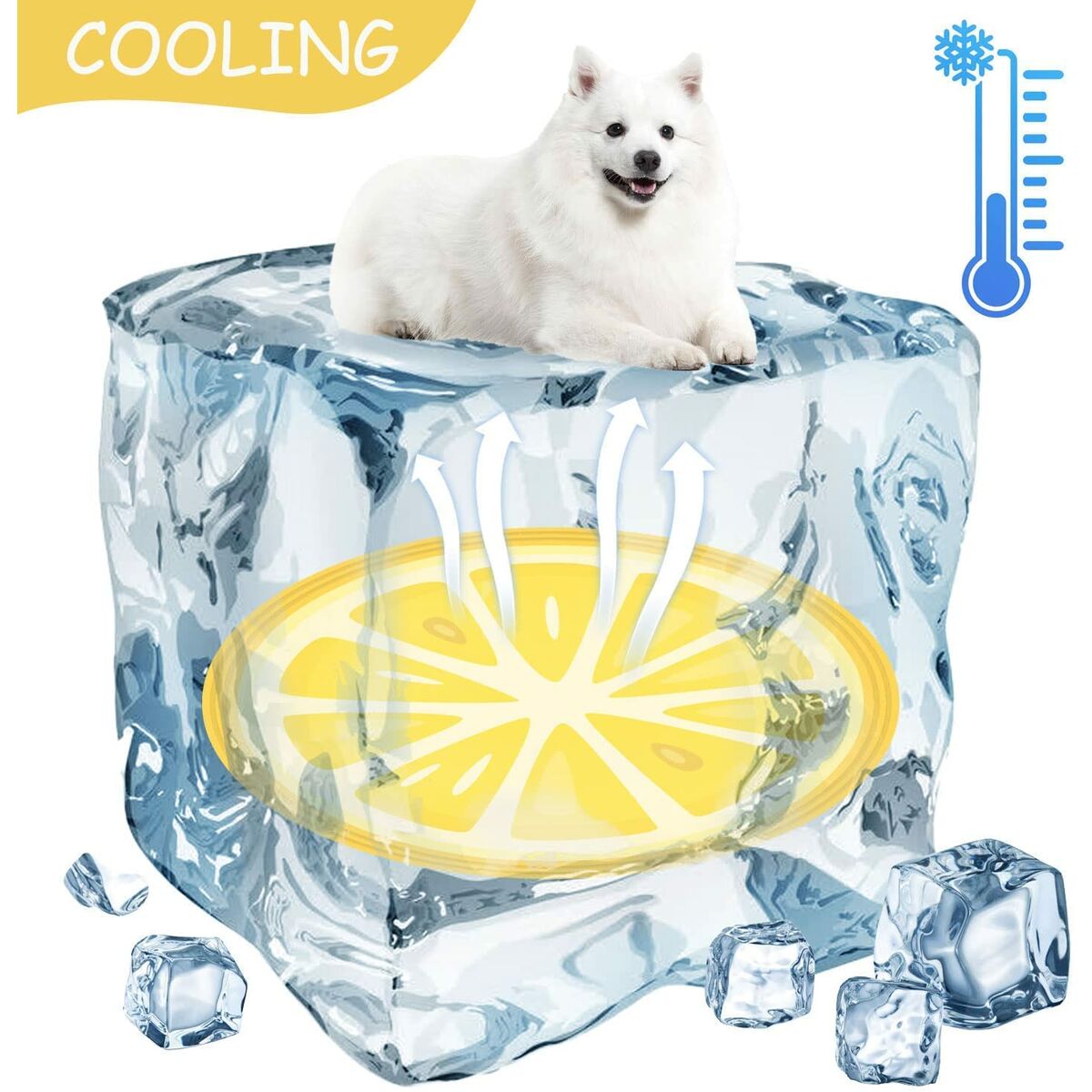 Afkølende Måtte til Kæledyr Mascow TOY88521 Orange (Refurbished A)