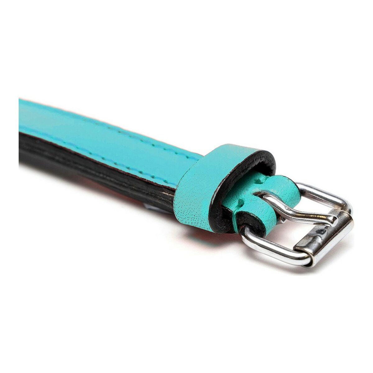 Hundehalsbånd Gloria Med puder Turquoise 45 cm (45 x 2 cm)