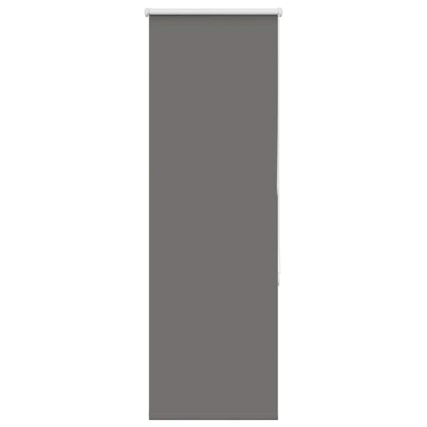 Rullegardin Mørklægning 40X Stofbredde 35,7 Cm Polyester Grå