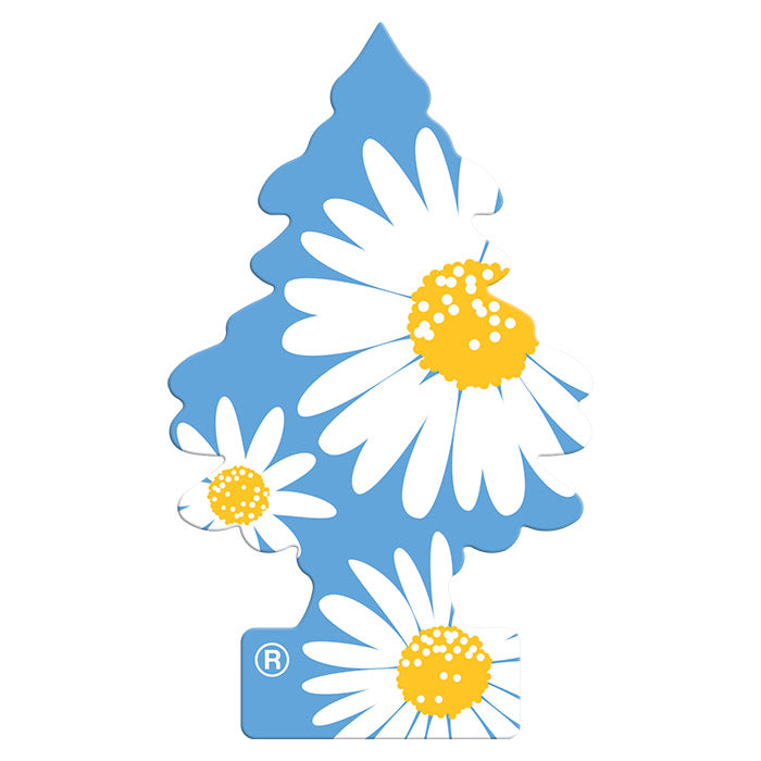 Bildufttræ Daisy Flower - langvarig forårsduft, 1 stk. Wunder-Baum