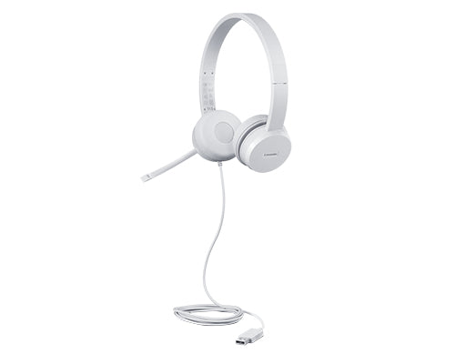 Lenovo 110 Kabling Headset