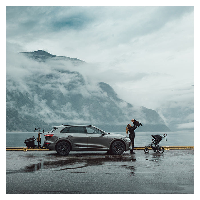 Bagageboks til Thule EasyFold - 260 L, 45 kg kapacitet - Thule