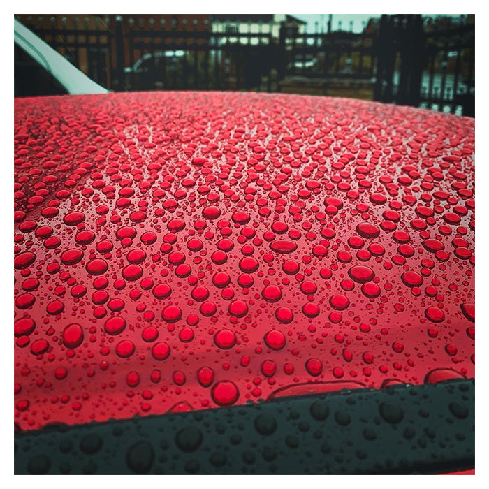 Voks til mørk bil - Fusso Coat 12 Months (200 g) - Soft99