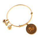 ALEX AND ANI A07EB40CARG