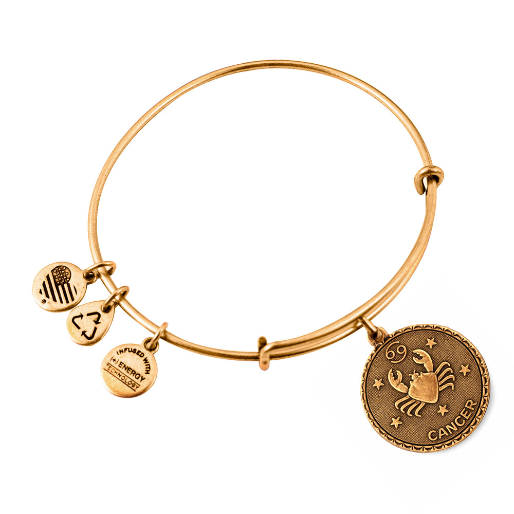 ALEX AND ANI A07EB40CNRG