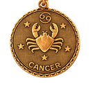ALEX AND ANI A07EB40CNRG
