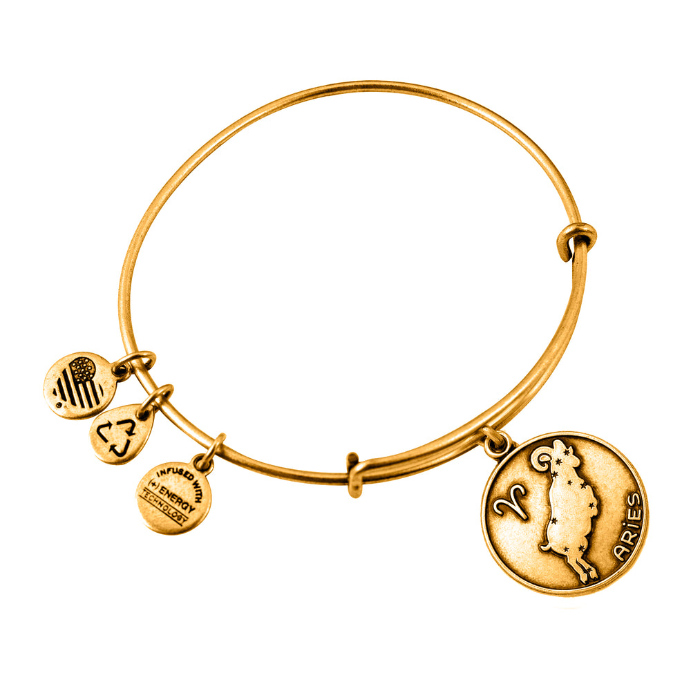 ALEX AND ANI A13EB01ARRG