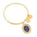 ALEX AND ANI A15EB64YG
