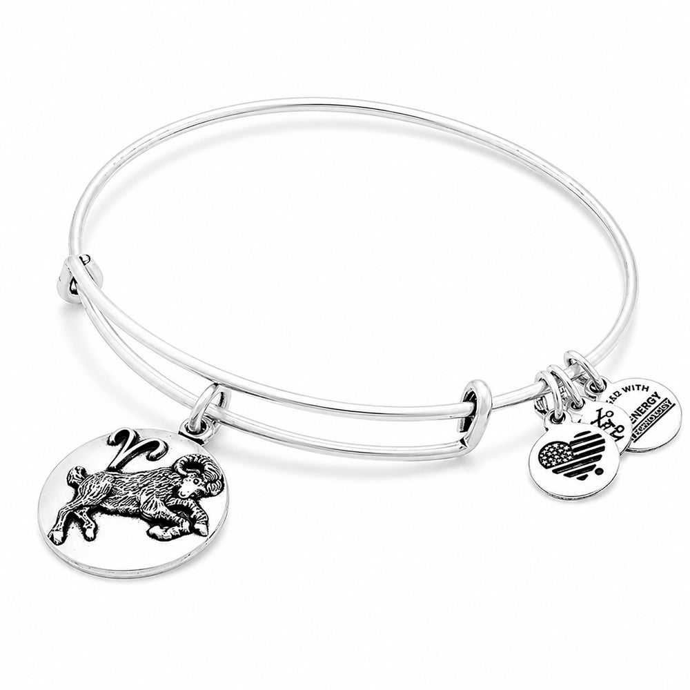 ALEX AND ANI A16EB50RS